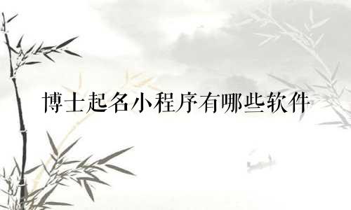 博士起名小程序有哪些软件