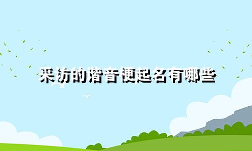 采访的谐音梗起名有哪些