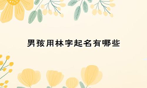 男孩用林字起名有哪些