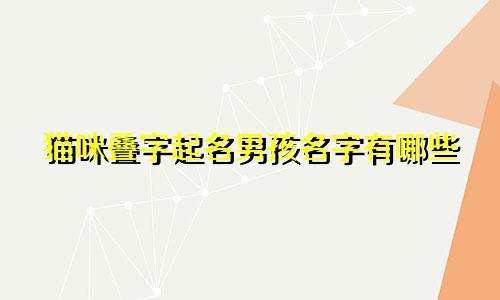 猫咪叠字起名男孩名字有哪些