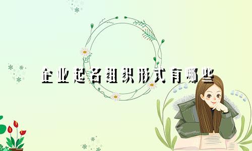 企业起名组织形式有哪些