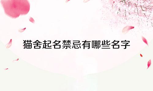 猫舍起名禁忌有哪些名字