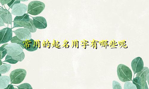 常用的起名用字有哪些呢
