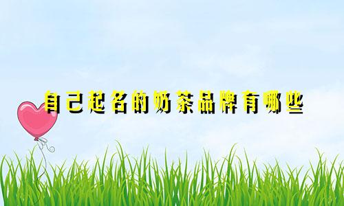 自己起名的奶茶品牌有哪些