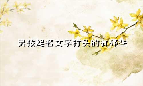 男孩起名文字打头的有哪些