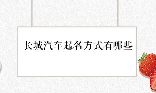 长城汽车起名方式有哪些