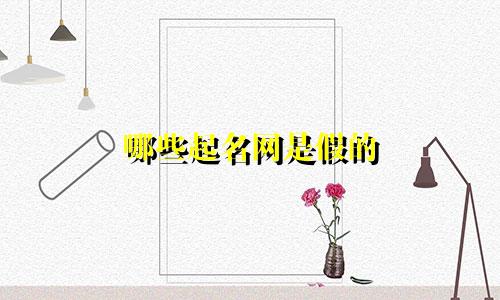 哪些起名网是假的