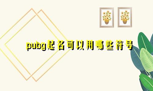 pubg起名可以用哪些符号