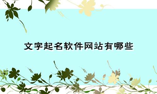 文字起名软件网站有哪些
