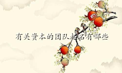有关资本的团队起名有哪些