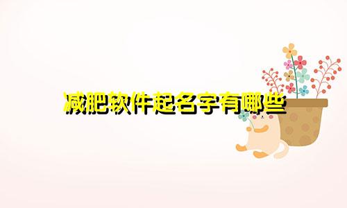 减肥软件起名字有哪些