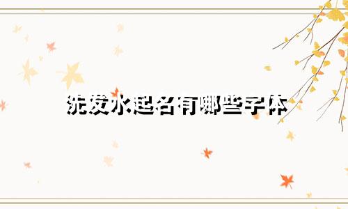 洗发水起名有哪些字体