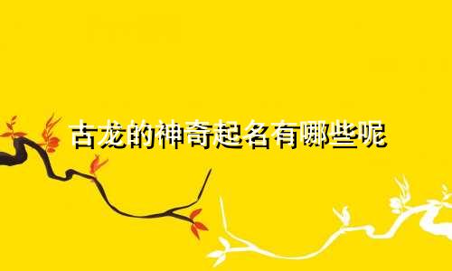 古龙的神奇起名有哪些呢