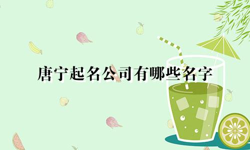 唐宁起名公司有哪些名字