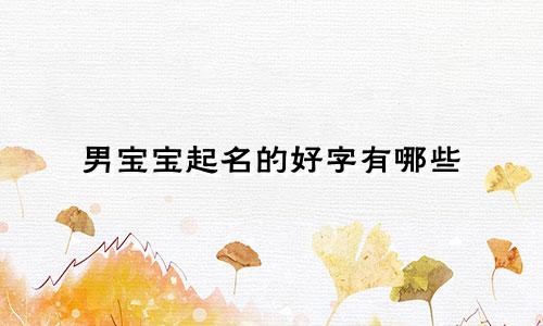男宝宝起名的好字有哪些