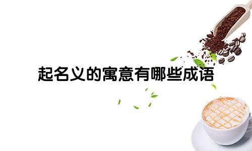 起名义的寓意有哪些成语