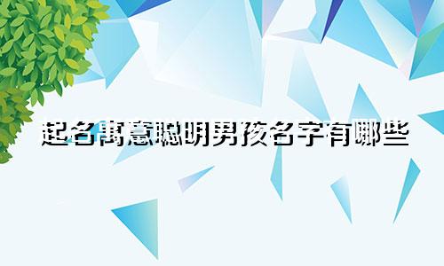 起名寓意聪明男孩名字有哪些