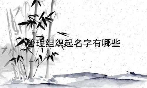 管理组织起名字有哪些