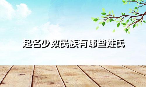 起名少数民族有哪些姓氏