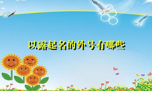 以露起名的外号有哪些