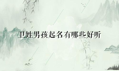 卫姓男孩起名有哪些好听