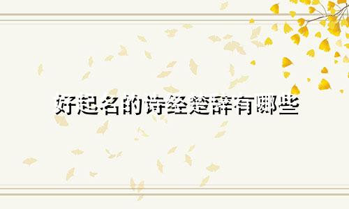 好起名的诗经楚辞有哪些