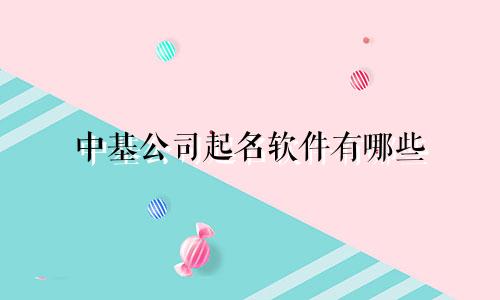 中基公司起名软件有哪些