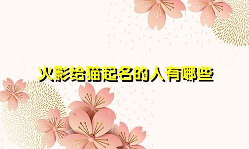 火影给猫起名的人有哪些