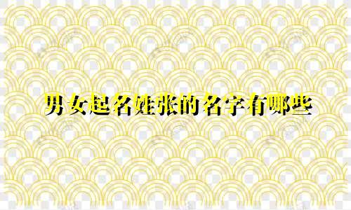 男女起名姓张的名字有哪些