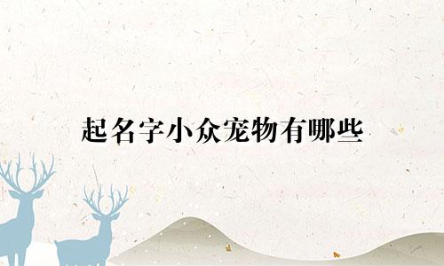 起名字小众宠物有哪些