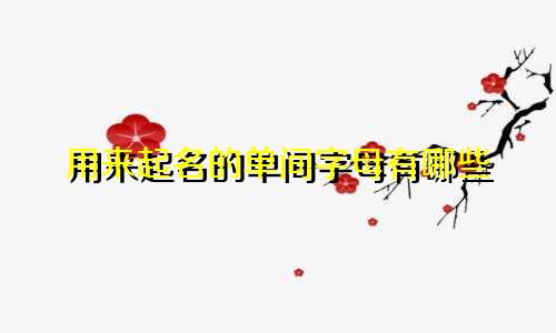用来起名的单间字母有哪些
