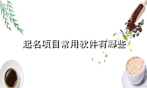 起名项目常用软件有哪些