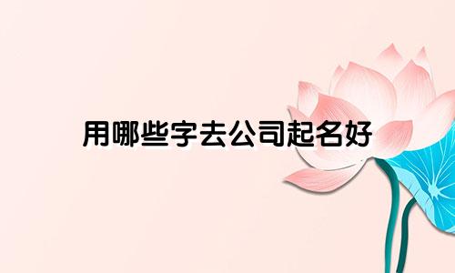 用哪些字去公司起名好