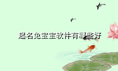 起名兔宝宝软件有哪些好