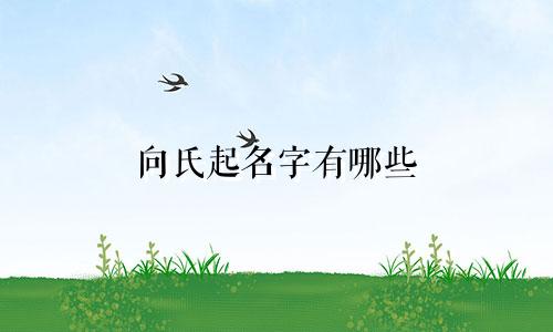 向氏起名字有哪些