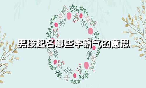 男孩起名哪些字霸气的意思