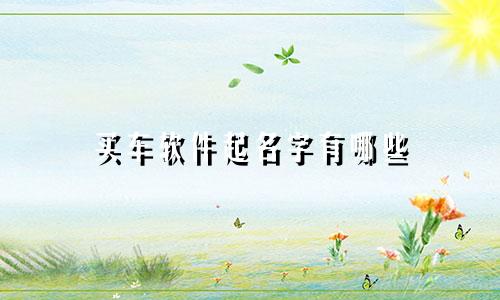 买车软件起名字有哪些