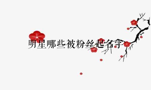 明星哪些被粉丝起名字