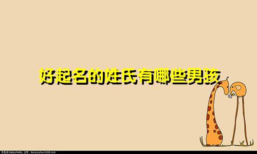 好起名的姓氏有哪些男孩