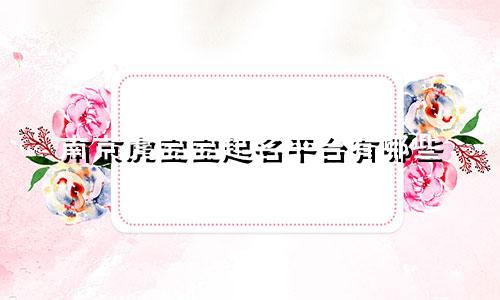 南京虎宝宝起名平台有哪些