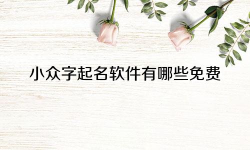 小众字起名软件有哪些免费