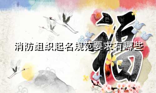 消防组织起名规范要求有哪些
