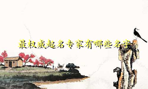 最权威起名专家有哪些名字