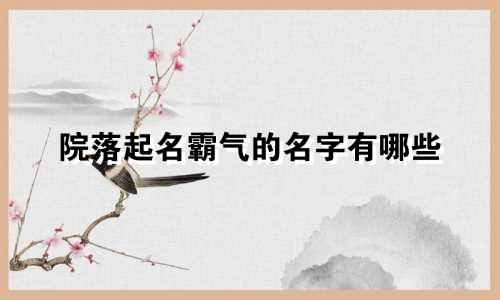 院落起名霸气的名字有哪些