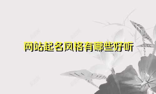 网站起名风格有哪些好听