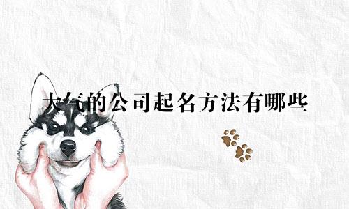 大气的公司起名方法有哪些