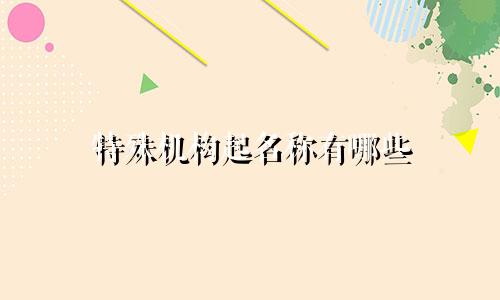 特殊机构起名称有哪些