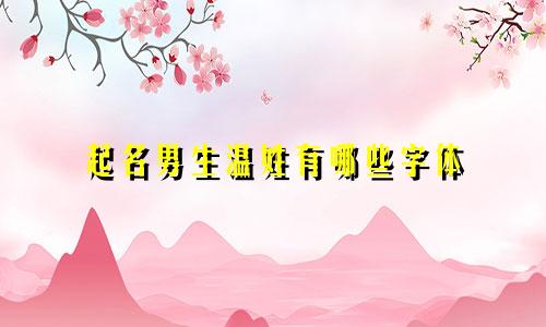 起名男生温姓有哪些字体