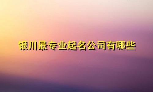 银川最专业起名公司有哪些