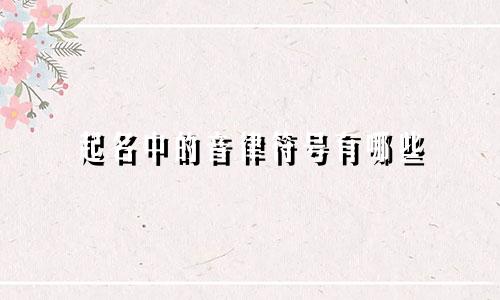 起名中的音律符号有哪些